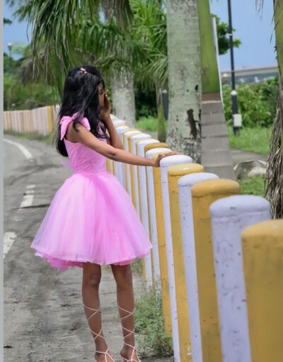 Pink cute dress (2426)